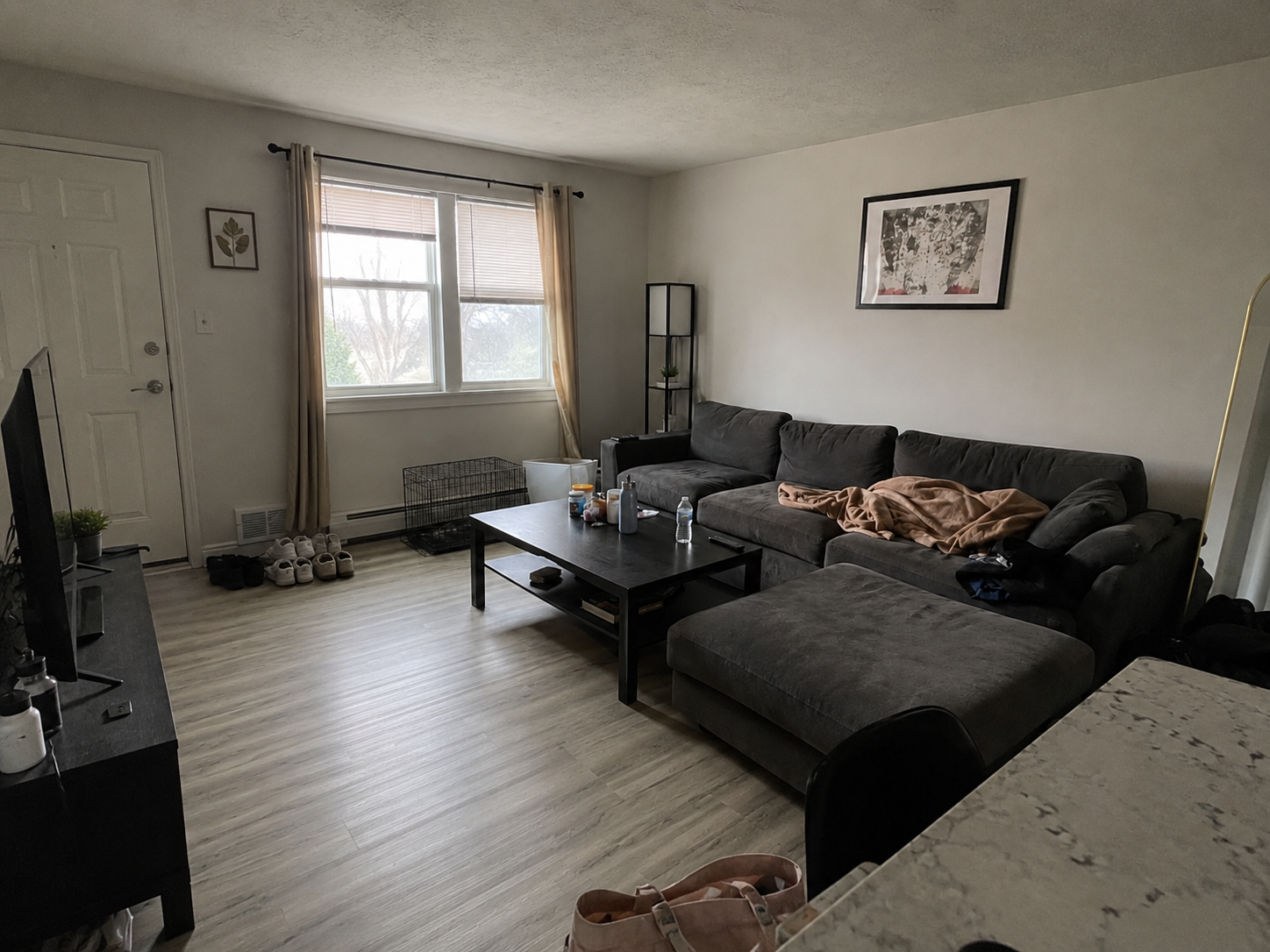 Original living room before redesign